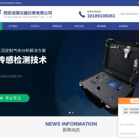 高温高湿露点仪(防爆型露点分析仪)西安润莱百科