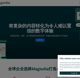 白玉兰软件中国