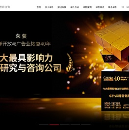 卓朴战略营销咨询