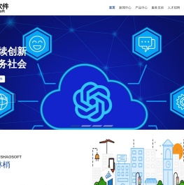 天津市林梢信息科技有限公司