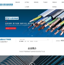 成都大西洋线缆有限公司