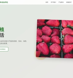 晓宣好好学习网