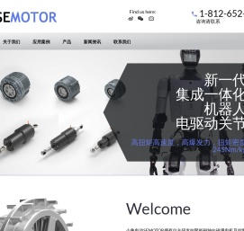 轮边/盘式电机/轴向磁场电机