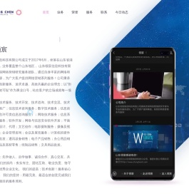 山东领宸信息科技有限公司