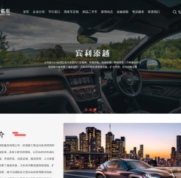 上海坦途汽车销售服务有限公司