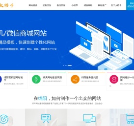 营销型网站建设