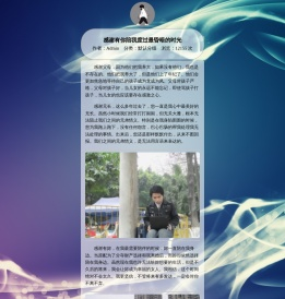 紫薇网络