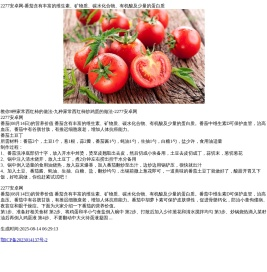 2277安卓网