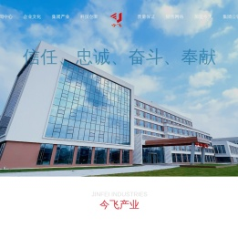 今飞控股集团有限公司