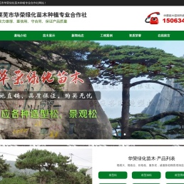 莱芜市华荣绿化苗木种植专业合作社,造型松,造型油松,造型黑松,造型景观松,泰山迎客松,平顶松
