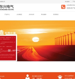 四川东兴电气有限公司