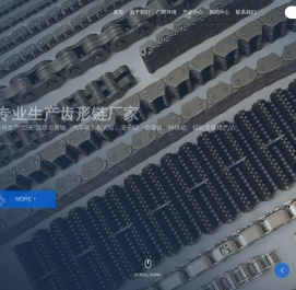 浙江昂星链条股份有限公司
