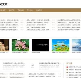 蜂窝文章网