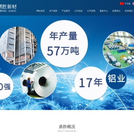 江苏鼎胜新能源材料股份有限公司