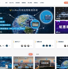 大连莱立佰信息技术有限公司