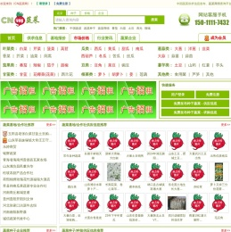 CN蔬菜网