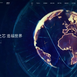 普冉半导体(上海)股份有限公司