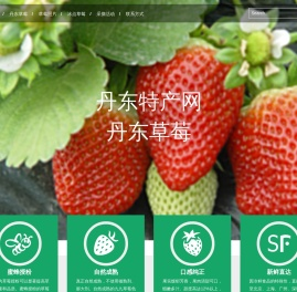 丹东草莓网