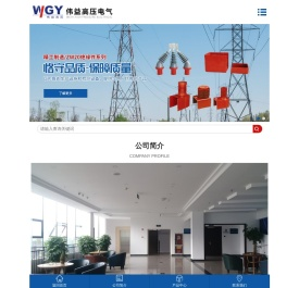 乐清市伟益高压电气有限公司