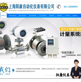 上海阳康自动化仪表有限公司
