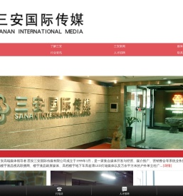 三安国际