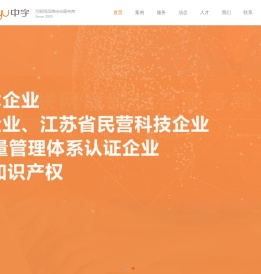 高端定制网站
