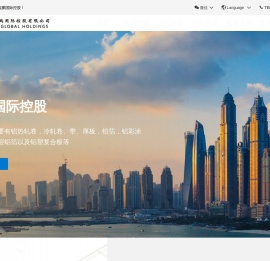 鲲鹏国际控股