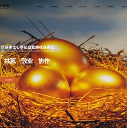 江苏新暨阳集团有限公司