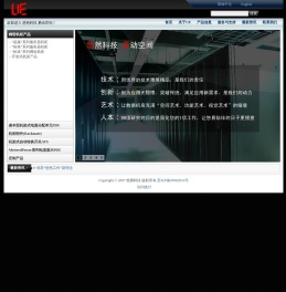 悠易科技:UE产品专业制造商