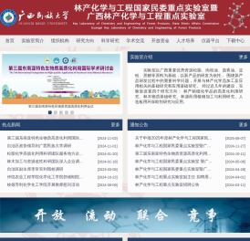 广西林产化学与工程重点实验室