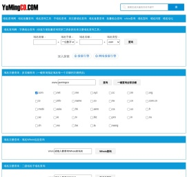 域名批量查询,域名查询工具