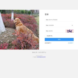 微服云课