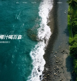 广东百森科技有限公司