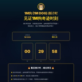 保定高校生活网