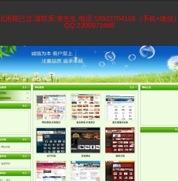 番禺网站建设800