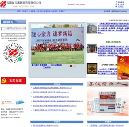 云南省玉溪医药有限责任公司