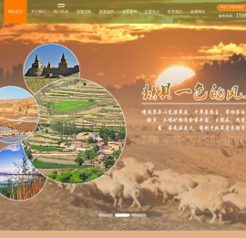 盐池滩羊,宁夏土羊,草原羊,西夏羊,滩羊养殖