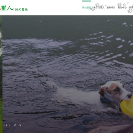 苏州汪星人训犬基地