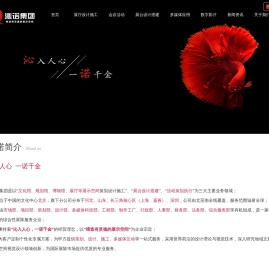 沁诺集团