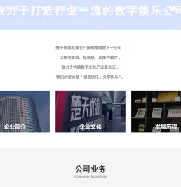 武汉楚天优游网络科技有限公司