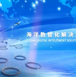 海洋数智化领导者