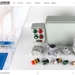 乐清市宜鸿电器有限公司