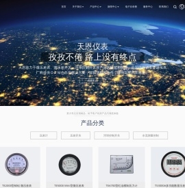 乐清天恩仪表厂