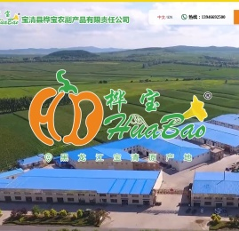 宝清县桦宝农副产品有限责任公司,宝清白瓜子,黑龙江白瓜子,白瓜子,桦宝农产品