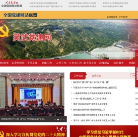 灵武党建网