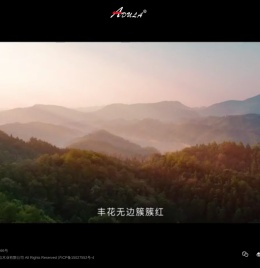 首页