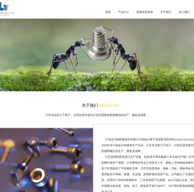 宁波伟力精密紧固件有限公司,螺钉,不锈钢