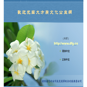 大方广文化公益网