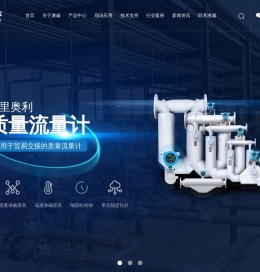 质量流量计