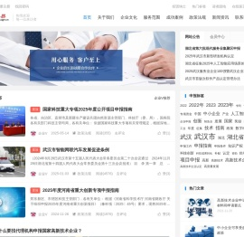 申报易